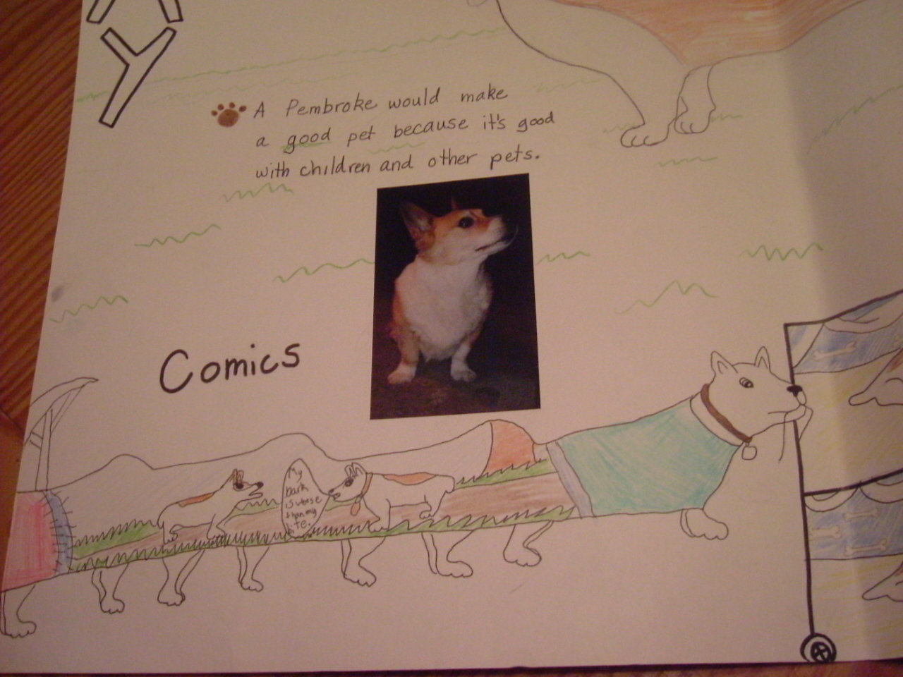 childs corgi comics